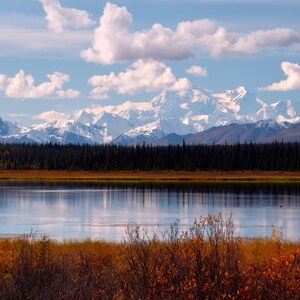 May include: A scenic landscape featuring a calm lake reflecting a blue sky with fluffy white clouds. In the background, snow-capped mountains rise above a dark green forest. The foreground shows golden-brown grasses and a tall evergreen tree.
