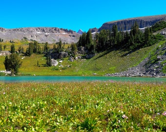 Grand Teton National Park Photo Gifts: Turquoise Lake, Flowering Meadow Landscape Poster