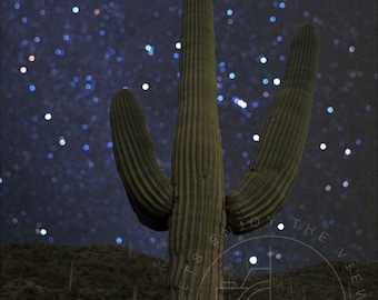 Saguaro Cactus Photo Gifts: Arizona Night Sky Fine Art Print Sonoran Desert Poster