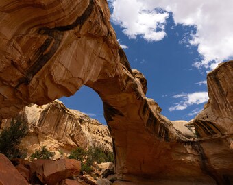Capitol Reef National Park Photo Gifts: Utah Scenic Arch Fine Art Print Landscape Poster
