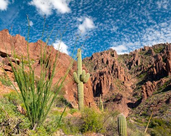 Desert Cactus Fine Art Photo Gifts: Superstition Mountains Landscape Poster