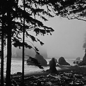 Olympic National Park Photo Gifts: Fine Art Black and White Print Ruby Beach Landscape Nature Poster