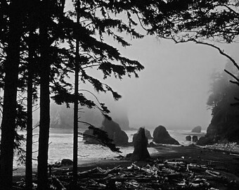 Olympic National Park, Ruby Beach Black & White Landscape Art Print