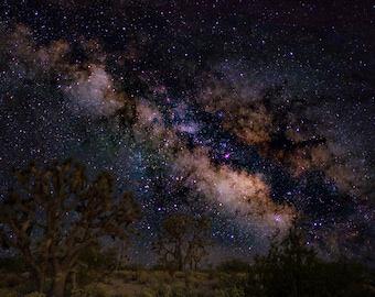 Joshua Tree Photo Gifts: Milky Way Night Sky Print Arizona Desert Wall Art Poster