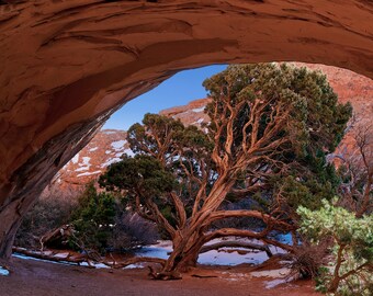 Arches National Park Photo Gifts: Fine Art Print Navajo Arch Landscape Nature Office Poster