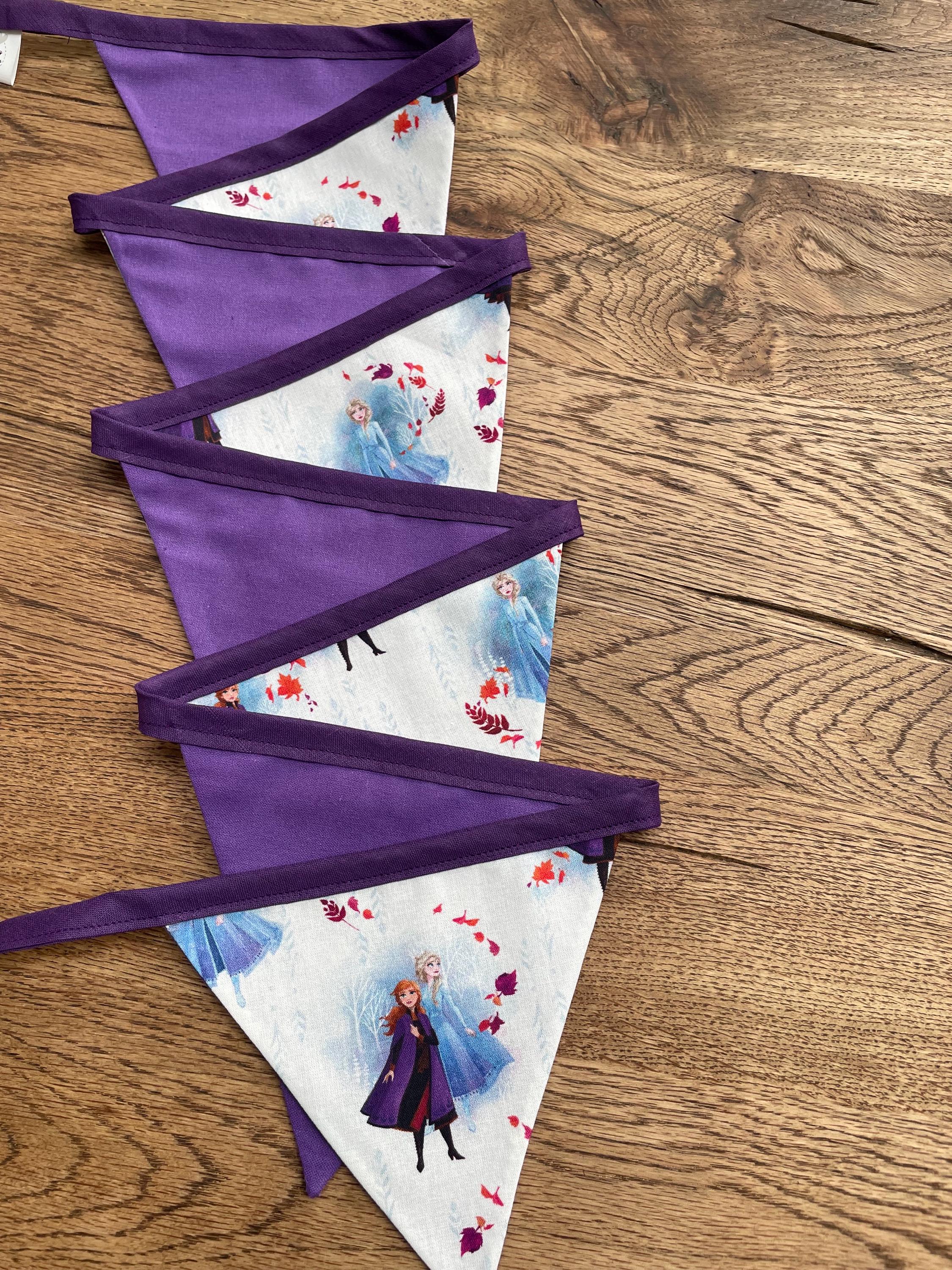 Frozen Theme Birthday Party Banner - 2m Long, 10 Double-Sided Paper Flags