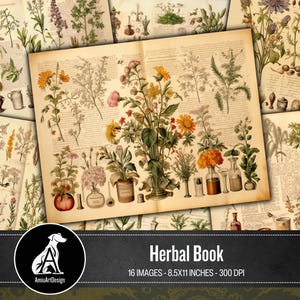 Páginas de diário de ervas botânicas para impressão, papel de scrapbook digital, páginas de boticário, imprimíveis de ervas, itens efêmeros de ervas vintage