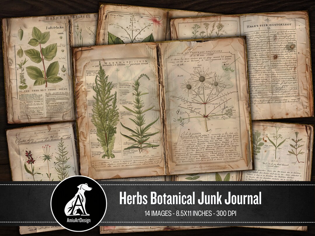 Botanical Herbs Junk Journal Pages: Antique Ephemera (digital Download ...