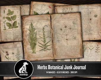 Botaniska örter Skräpjournalsidor: Antika efemera (digital nedladdning)