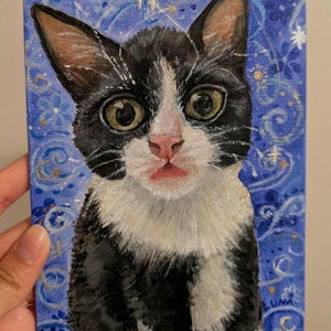 Puede incluir: Un lienzo pintado a mano que representa un gato blanco y negro con grandes ojos expresivos. El gato tiene el pecho y la cara blancos. El fondo es azul con patrones florales y de remolinos. Firmado "LUNA".