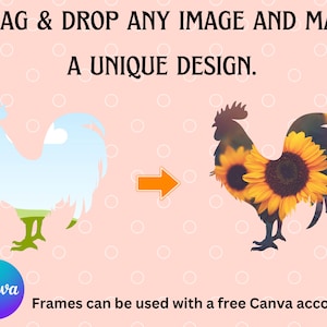 Op de afbeelding: Een sjabloon voor grafisch ontwerp met een silhouet van een haan. De haan is gevuld met een blauwe lucht en groen gras. De tekst "DRAG & DROP ANY IMAGE AND MAKE A UNIQUE DESIGN." staat boven de haan. De tekst "Canva" staat in een blauwe en paarse cirkel onder de haan. De tekst "Frames can be used with a free Canva account." staat onder het Canva-logo.