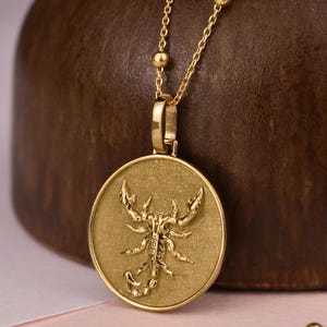 14K Gold Skorpion Sternzeichen Halskette, Zierlicher Astro Zeichen Anhänger für Frauen, Geburtstagsgeschenk, Freundin Geschenk, Skorpion Schmuck, Geschenk für Sie