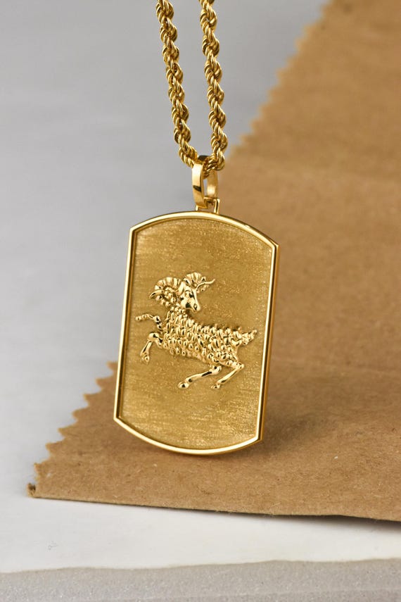 14K Gold Aries Dog Tag Necklace, Zodiac Aries Pendant Jewelry, Rope Chain Necklace, Astrological Sign Necklace, Personalized Gold Dog Tag