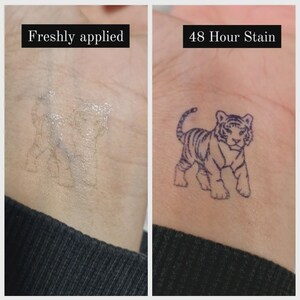 May include: A two-panel image showing a temporary tattoo application. The left panel shows a freshly applied, faint tiger outline. The right panel displays the same tiger design after 48 hours, now a detailed, dark blue outline.