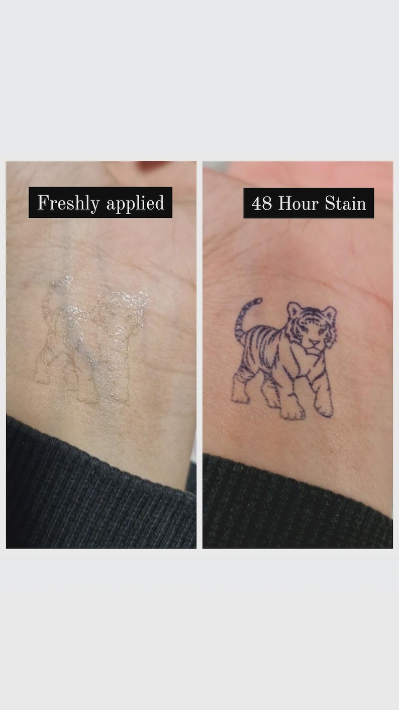 May include: A two-panel image showing a temporary tattoo application. The left panel shows a freshly applied, faint tiger outline. The right panel displays the same tiger design after 48 hours, now a detailed, dark blue outline.