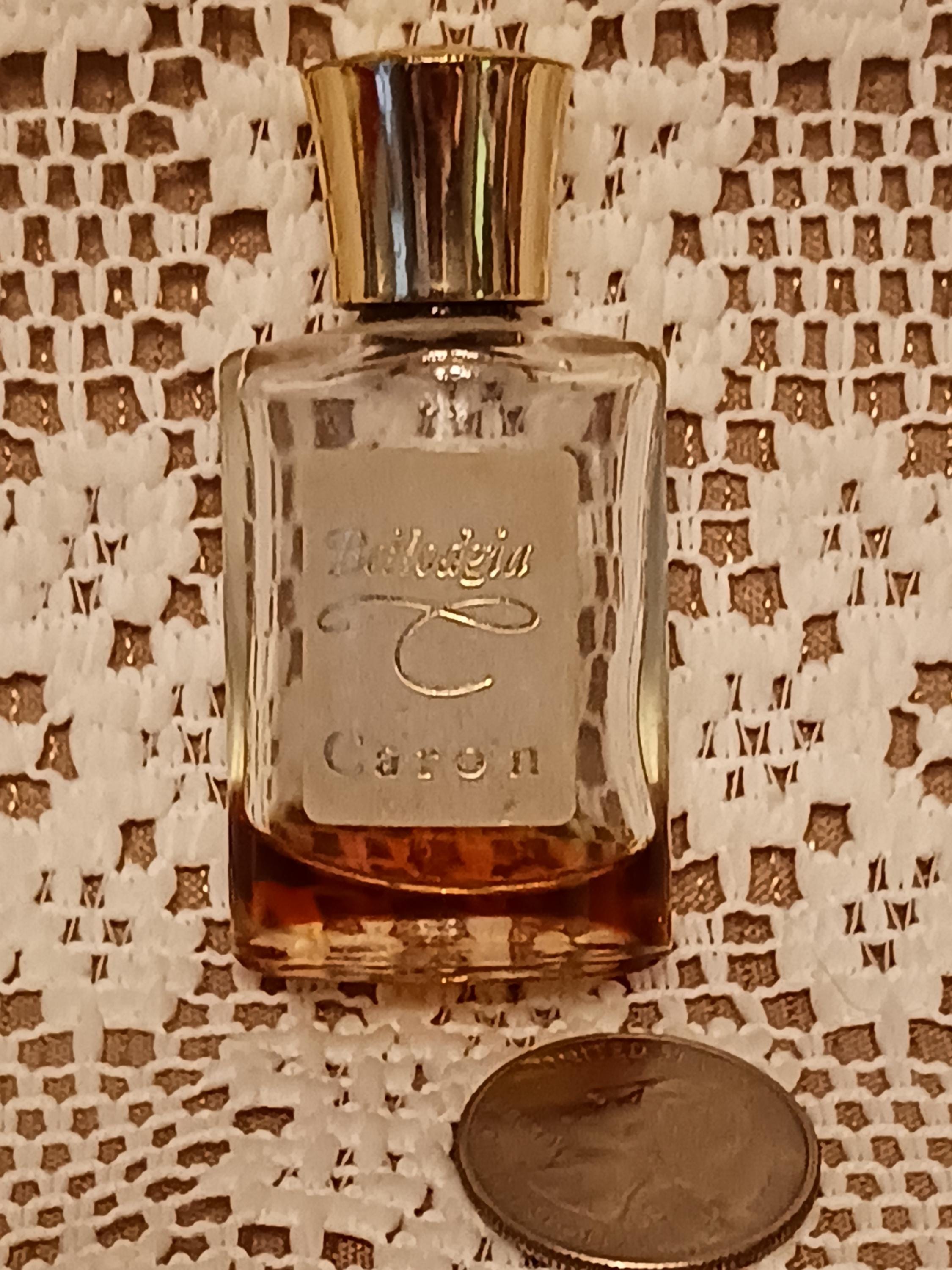 Caron Perfume Bottle - Etsy