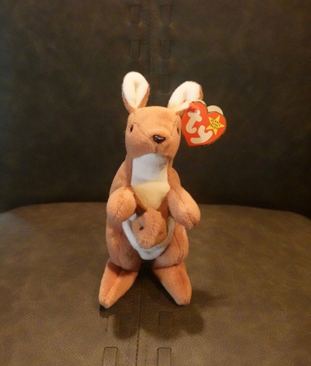 Beanie Baby Pouch Rare, Single Owner, Un-played, Safely Stored  Environmentally Protected, Retired, Investment Quality - Main Image