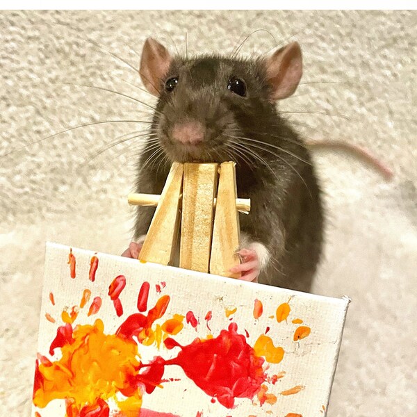Rat Paw-print Paintings (3inch x 3inch)