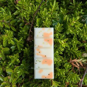 Puede incluir: Una barra rectangular de cera perfumada con base blanca, detalles color melocotón y motas doradas brillantes. La cera se muestra sobre un fondo de exuberante follaje verde, creando una presentación natural y atractiva.