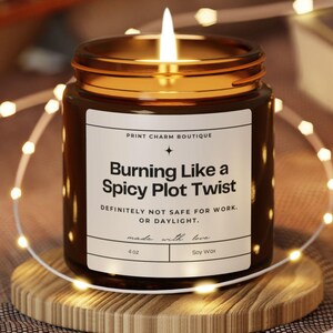 Book Lover Candle, Book Lover Gift, Spicy Plot Twist Candle, Book Candle, Gift for Book Lover, Book Club Candle, Bookish Candle Funny Candle