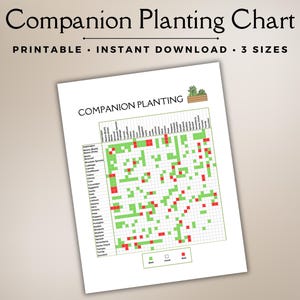 Tabla de siembra complementaria, Guía de siembra complementaria, Jardinería complementaria, Huerto, Planificador de jardín, Planificación de jardín, Organizador de jardín