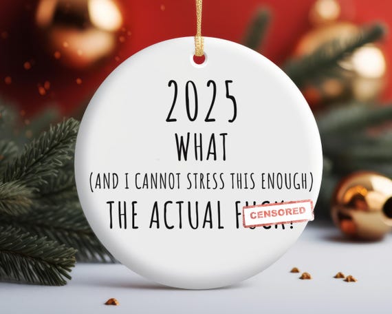 Funny Christmas 2025 Ornament, What the F Christmas Ornament, What and I Can't Stress This Enough, WTF Ornament Sarcastic Christmas Ornament