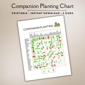 Könnte beinhalten: Ein druckbares Begleitpflanzentabelle auf weißem Papier. Die Tabelle zeigt ein Raster mit grünen und roten Quadraten, die gute und schlechte Pflanzenkombinationen anzeigen. Der Titel "Companion Planting Chart" steht oben, darunter "Printable, Instant Download, 3 Sizes".