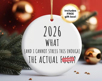 Funny Christmas 2026 Ornament, What the F Christmas Ornament, What and I Can't Stress This Enough, WTF Ornament Sarcastic Christmas Ornament