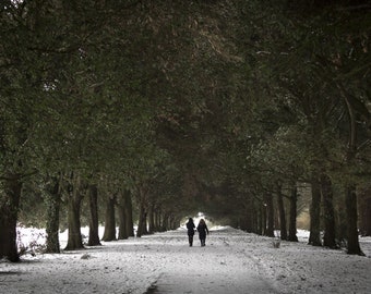Snow in Dublin Ireland, DIGITAL DOWNLOAD, digital print, photography