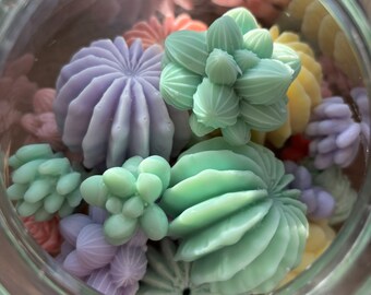 Succulent Soy Wax Melts, Soy Candle