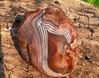 Lake Superior Agate 1.8 Oz