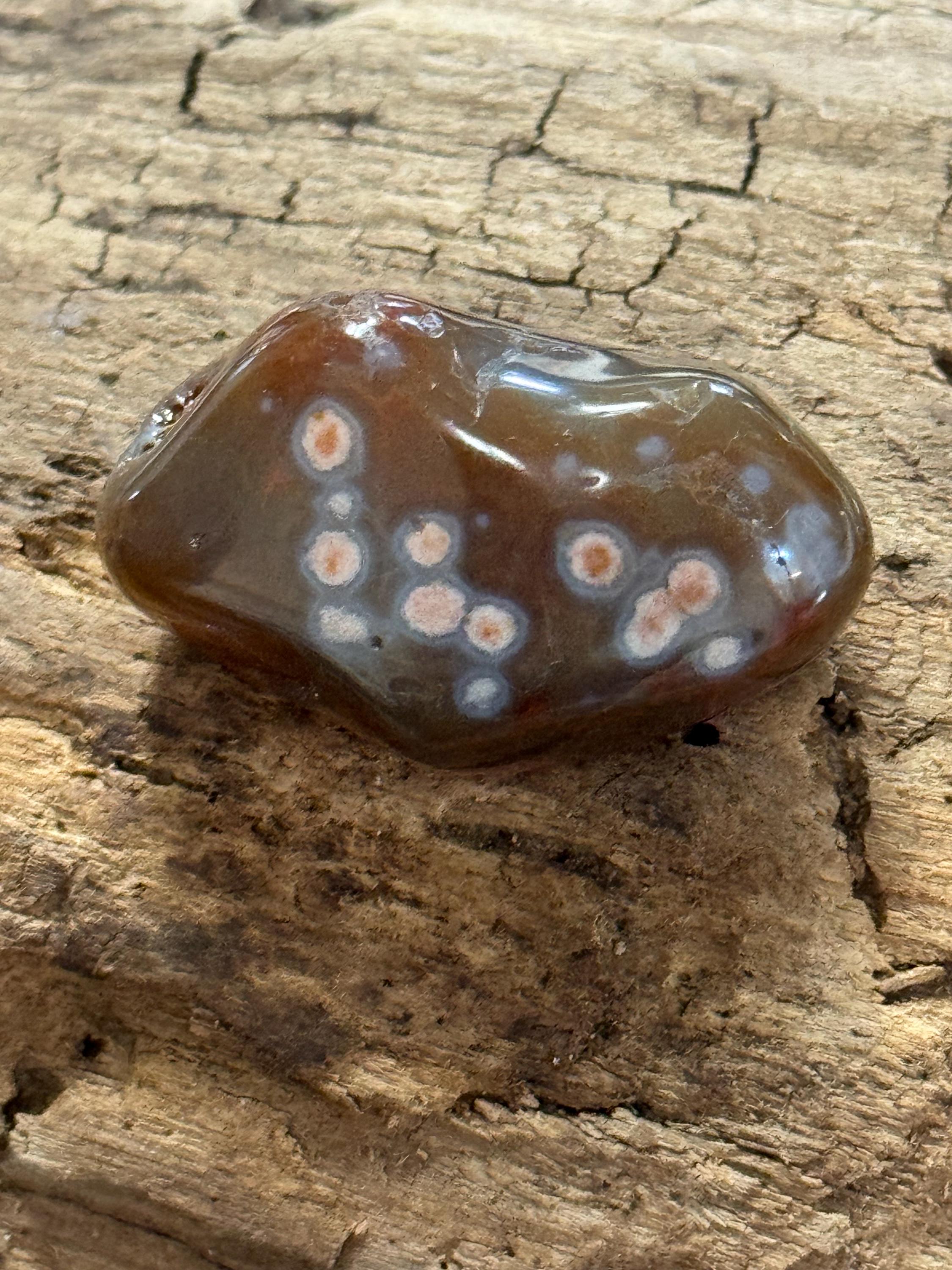 Lake Superior Agate