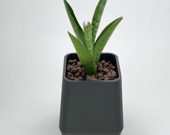 Jardinera hidropónica angular para plantas de interior