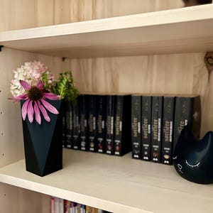 May include: A wooden bookshelf with a black vase filled with pink flowers and a black cat figurine. The bookshelf is filled with black books with gold lettering. The books are titled "Sorciere" and "Sorciere: The Awakening".