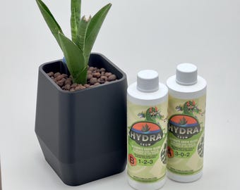 Kit de jardinería hidropónica para madres jardineras.