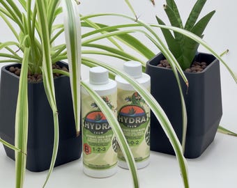 Kit de inicio hidropónico para plantas de interior