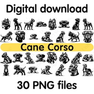 May include: Digital download graphic with 30 black and white Cane Corso dog illustrations in different poses. The text "Digital download" and "30 PNG files" are in black, with "Cane Corso" on a yellow banner.