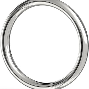 Heavy Duty Stainless Steel Ring – Welded O-Ring for Strap-On Harness, Bondage Gear, or DIY Projects