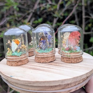 Mystery Butterfly Wing Cloche