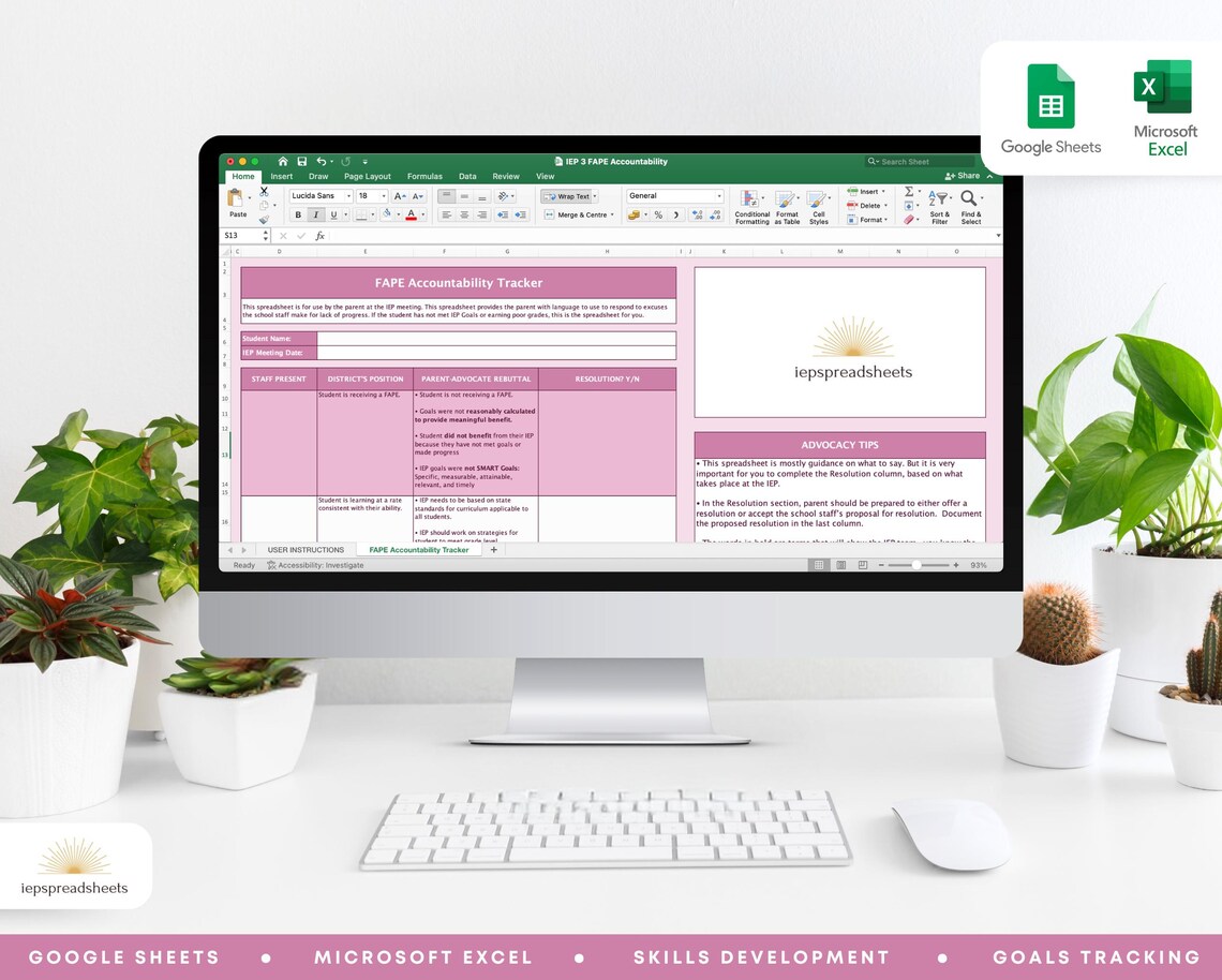 FAPE Accountability IEP Spreadsheet Google Sheets Microsoft Excel - Etsy