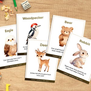 May include: Educational flashcards featuring watercolor illustrations of forest animals: an eagle, woodpecker, bear, deer, and rabbit. Each card includes a fun fact about the animal. The cards are arranged on a wooden surface with pencils and a sharpener.