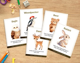 Woodland Animals Flashcards Printable | Montessori Toys Learning Cards | Watercolor Woodland Animal Digital Download for Nursery Decor