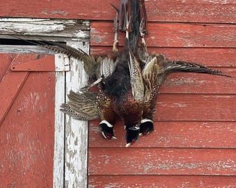 Handmade Leather Dove/Pheasant Hunting Game Strap Carrier with Fringe & Rings for Field Use