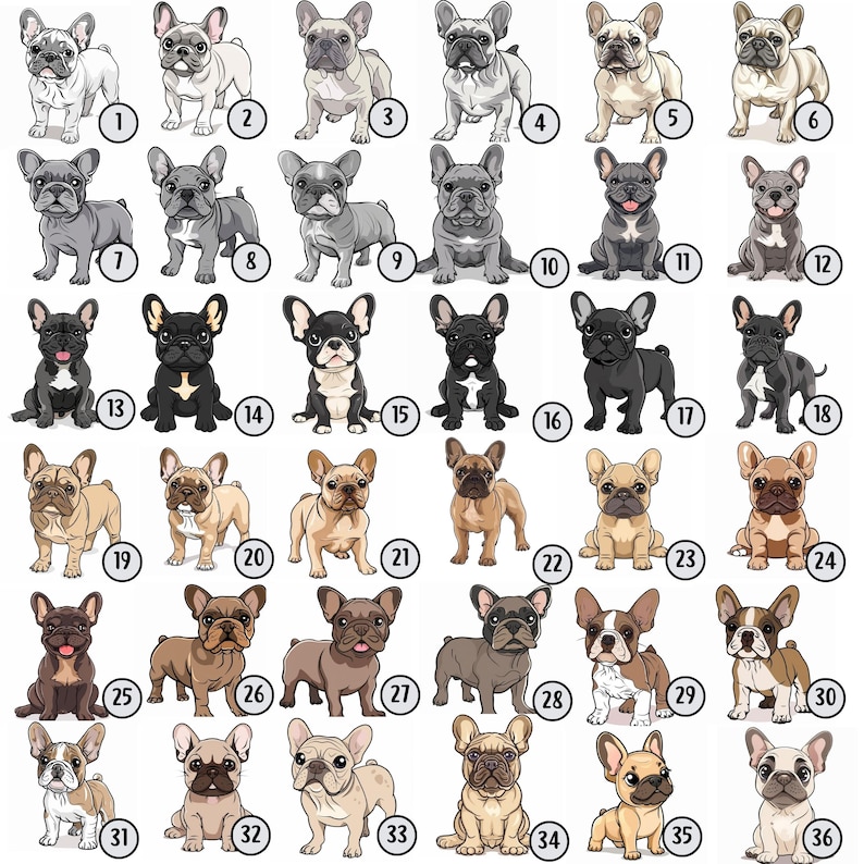 May include: A collection of 36 illustrated images of French Bulldogs in various poses and colors. Each image is numbered from 1 to 36.