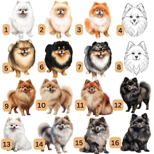 May include: A digital collage of 16 different Pomeranian dog breeds. The dogs are depicted in various poses and colors, including white, black, brown, and cream. The images are numbered 1 through 16.