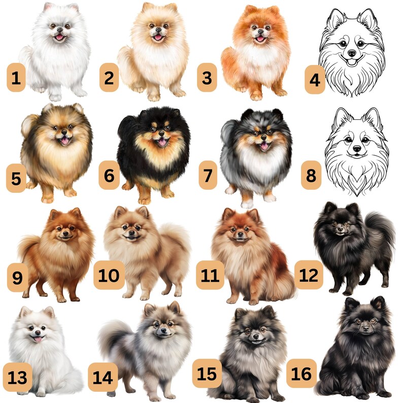 May include: A digital collage of 16 different Pomeranian dog breeds. The dogs are depicted in various poses and colors, including white, black, brown, and cream. The images are numbered 1 through 16.
