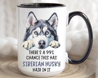 Taza divertida de husky siberiano. Hay un 99 % de posibilidades de que tenga pelo. Humor para dueños de perros y amantes de las mascotas. Mamá husky siberiano. Papá husky. Perro que mira fijamente.