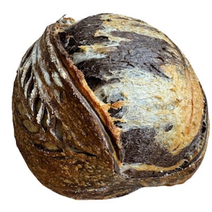 Könnte beinhalten: Ein dunkelbraunes Sauerteigbrot mit einer hellbraunen Kruste und einem Strudel aus dunkelbraunem Teig. Das Brot hat ein einzigartiges Design mit einem Muster aus Einschnitten an der Seite.