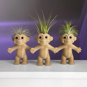 Lake Barbie Barbie Bridge Troll Vintage Troll Doll Inspired Air Plant