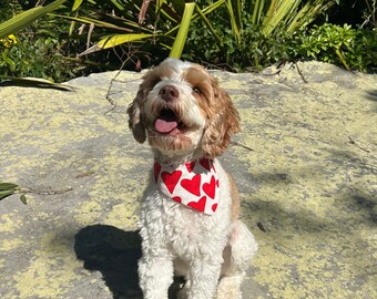 Love heart dog bandana